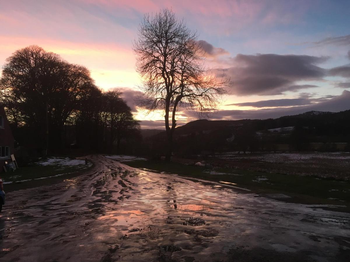 Beautiful Highland 1-Bed Cottage Inverness Dış mekan fotoğraf